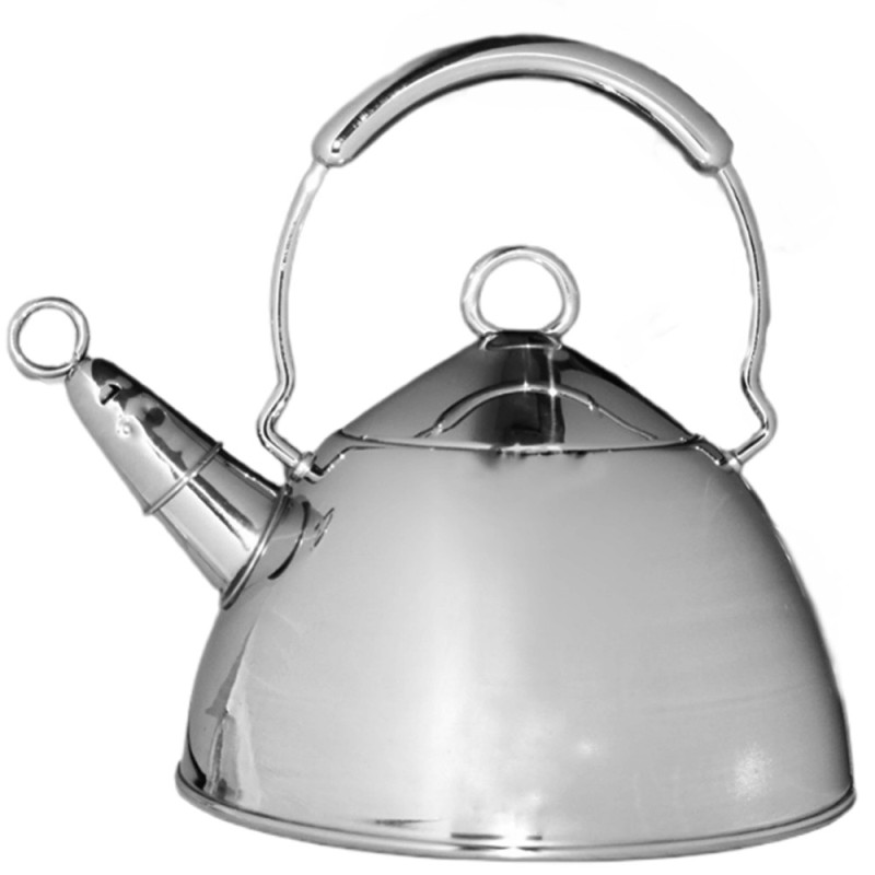 Bollitore teiera grande con fischio in acciaio inox18/10 per acqua tè tisane  2lt doppio fondo radiante
