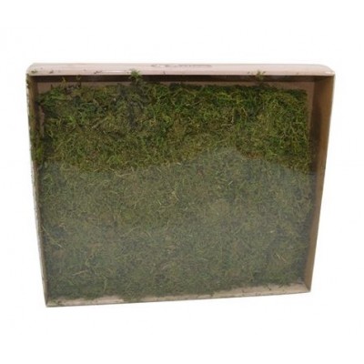 Muschio verde artificiale...