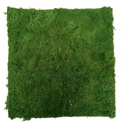 Tappetino Lichene 40x40cm...