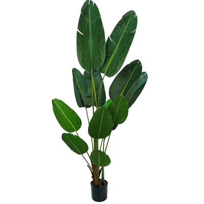 Strelitzia Artificiale 180...